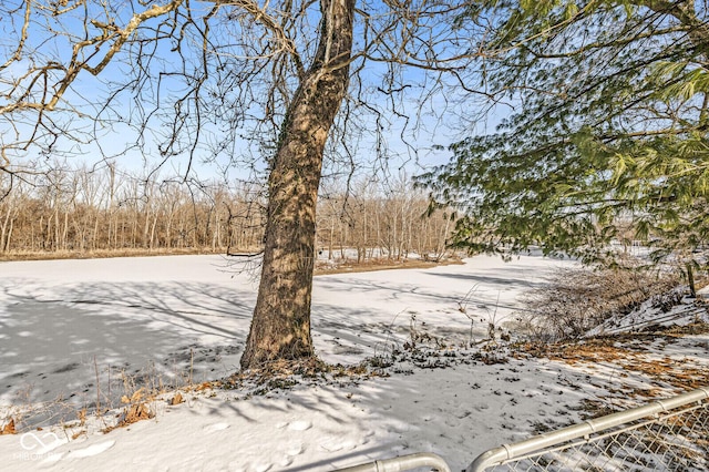 view of yard covered in snow