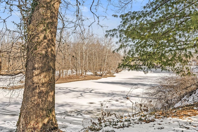 view of yard layered in snow