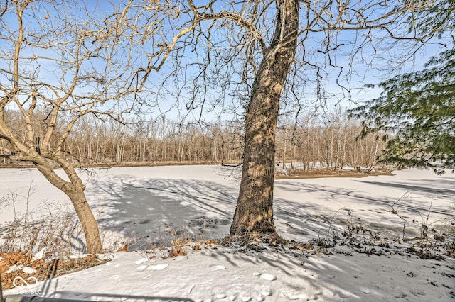 view of yard layered in snow