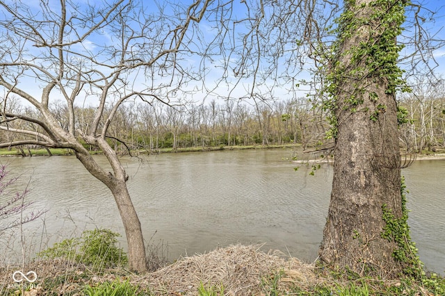 property view of water