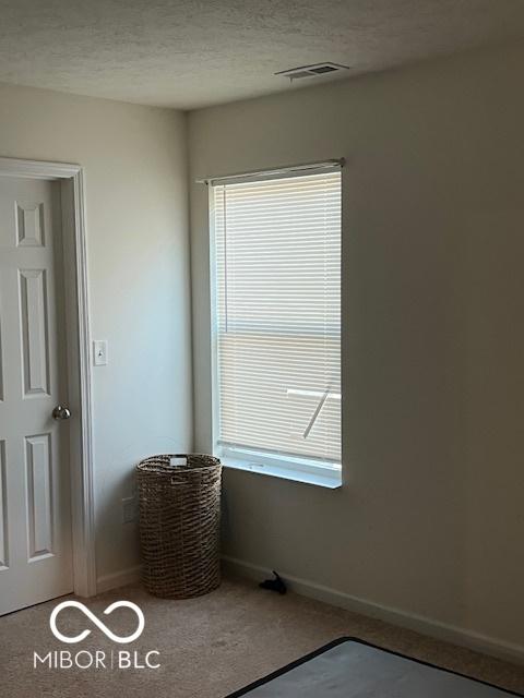 carpeted empty room with a textured ceiling and plenty of natural light