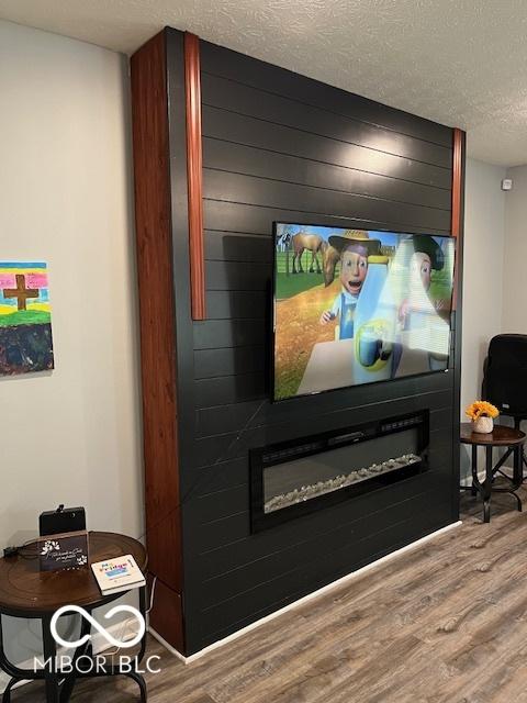 room details with hardwood / wood-style flooring, a textured ceiling, and a fireplace