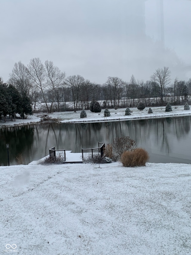 yard layered in snow with a water view