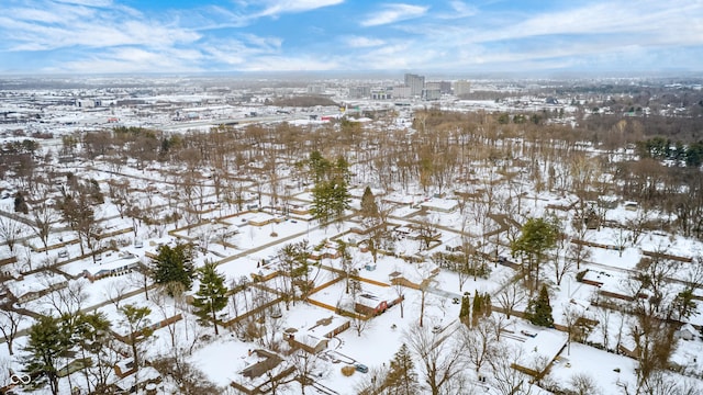 view of snowy aerial view