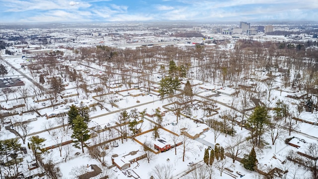 view of snowy aerial view