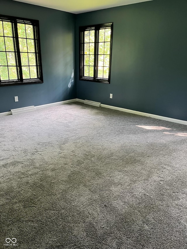 unfurnished room with carpet flooring