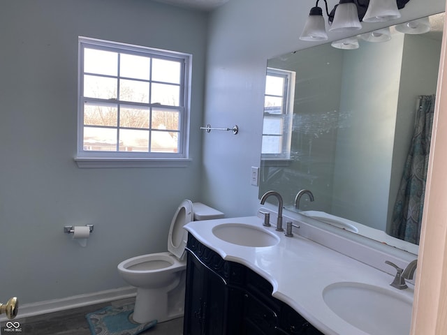 bathroom with toilet and vanity