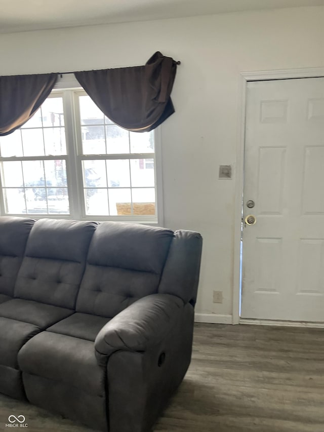 living room featuring wood-type flooring