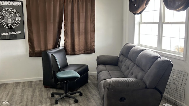 living room featuring wood-type flooring