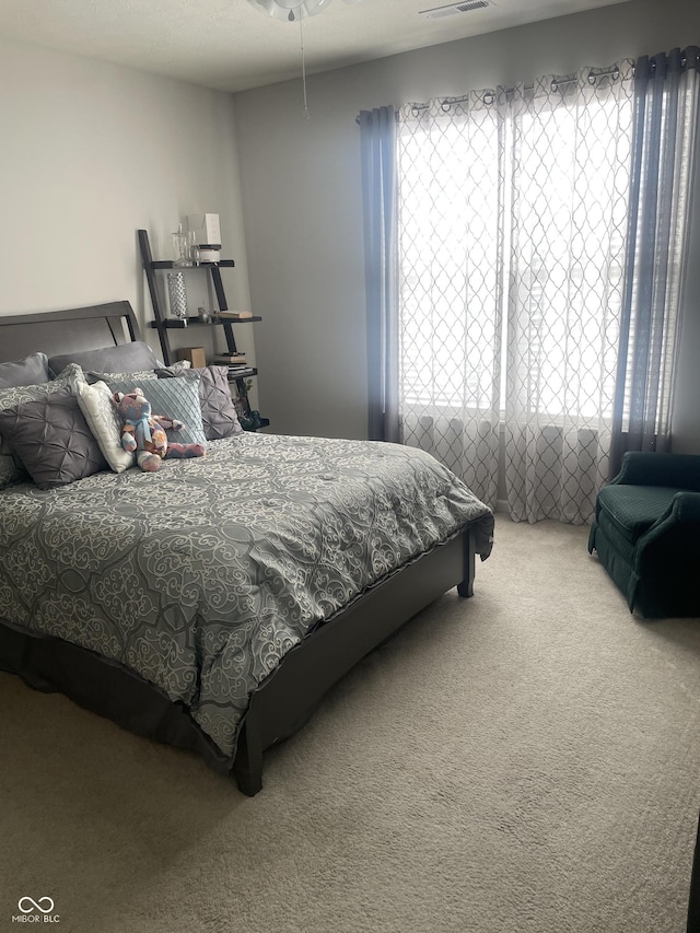 bedroom featuring multiple windows and carpet floors