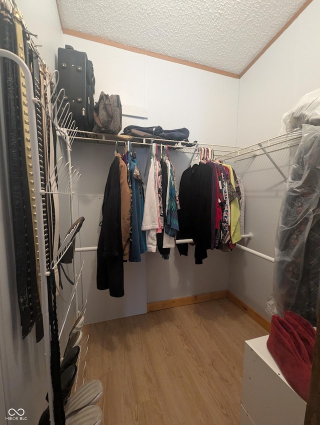 spacious closet featuring hardwood / wood-style floors