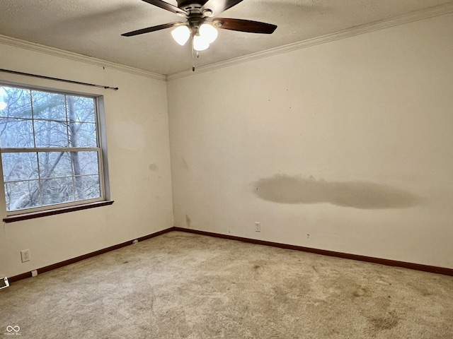 carpeted empty room with ceiling fan, crown molding, and a textured ceiling