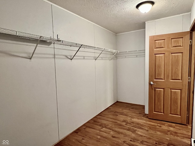 spacious closet featuring wood finished floors