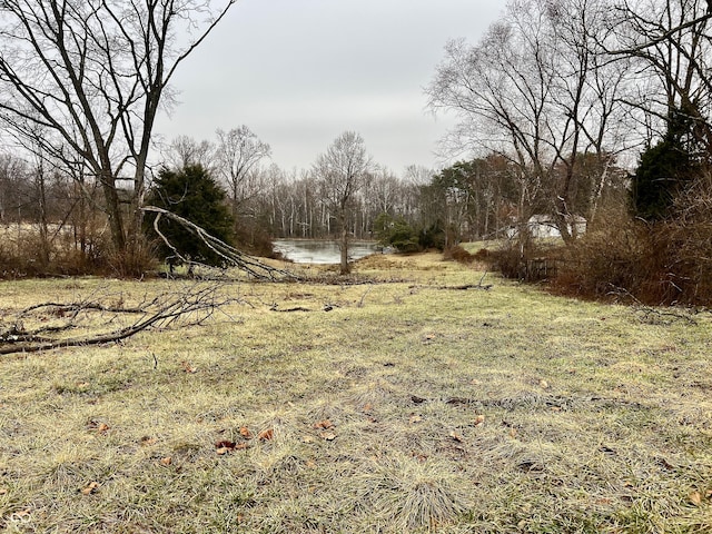 view of yard with a water view