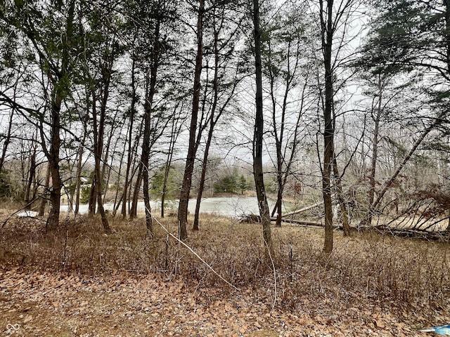 view of landscape with a water view