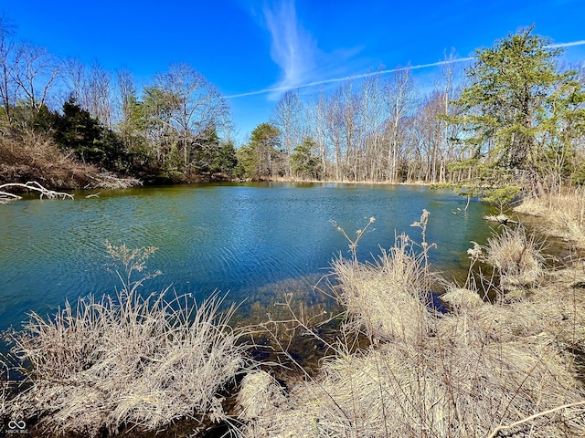 property view of water featuring a wooded view