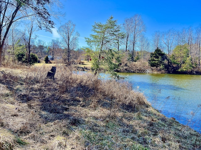 water view featuring a forest view