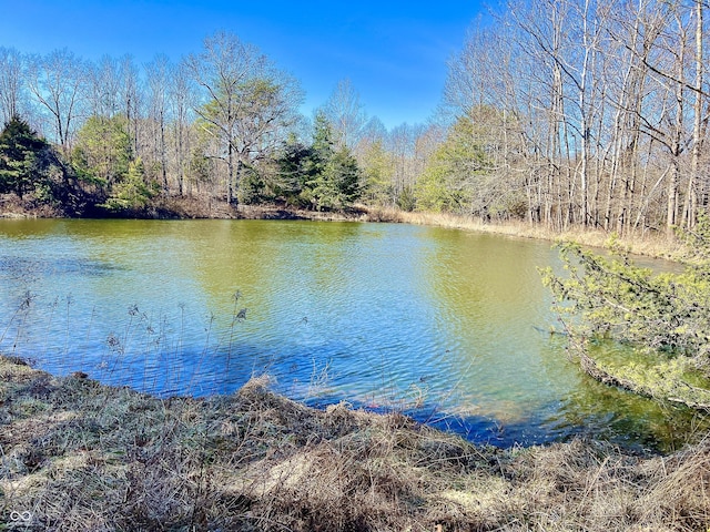 property view of water with a forest view