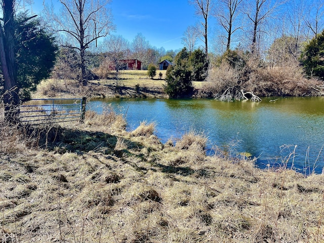 view of water feature