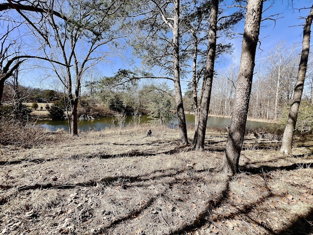 view of landscape