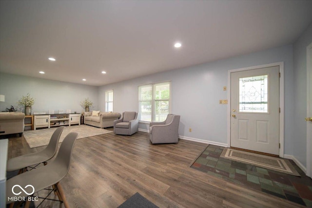 living room featuring hardwood / wood-style flooring