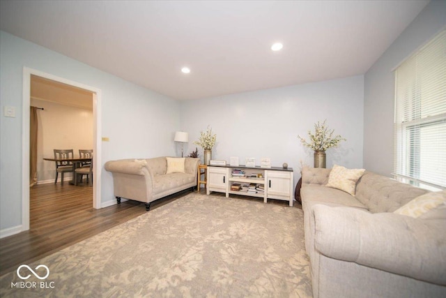 living room with hardwood / wood-style flooring