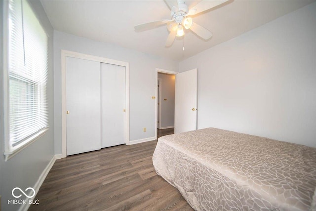 bedroom featuring ceiling fan, a closet, and dark hardwood / wood-style floors