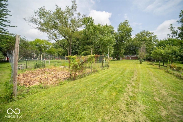 view of yard with a rural view