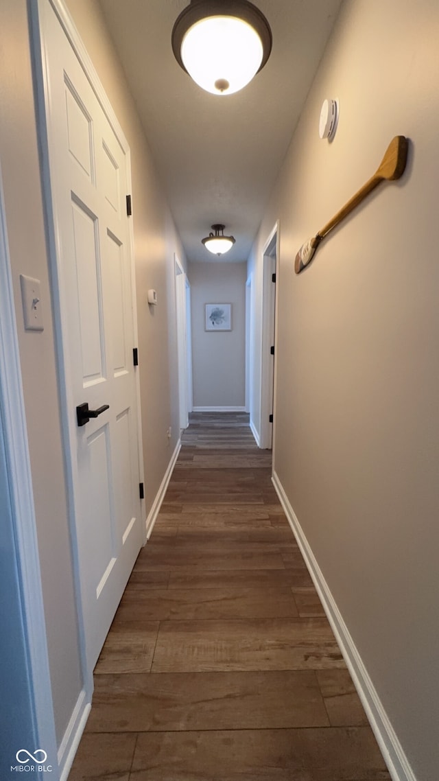 corridor featuring dark hardwood / wood-style flooring