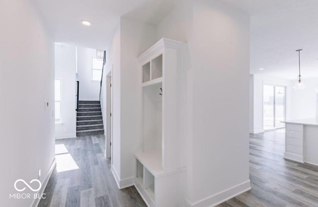 mudroom featuring plenty of natural light and hardwood / wood-style flooring