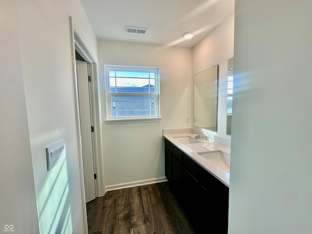 bathroom with wood-type flooring and vanity