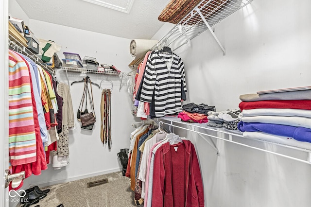 walk in closet with carpet flooring