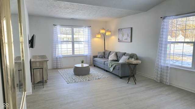 living room featuring light hardwood / wood-style floors