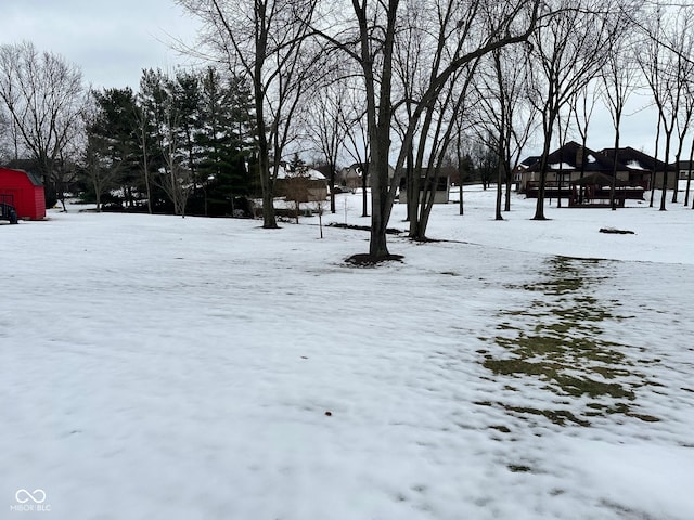 view of yard covered in snow