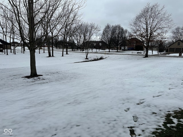 view of yard layered in snow