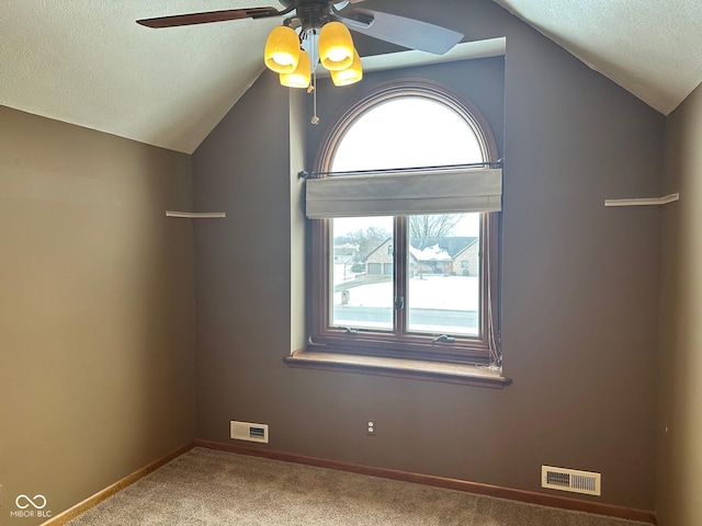 additional living space featuring a textured ceiling, ceiling fan, lofted ceiling, and carpet floors