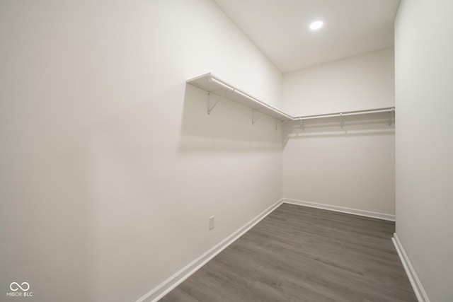 303 Doe Creek Dr, Cloverdale, IN 46120 - walk in closet featuring dark wood finished floors