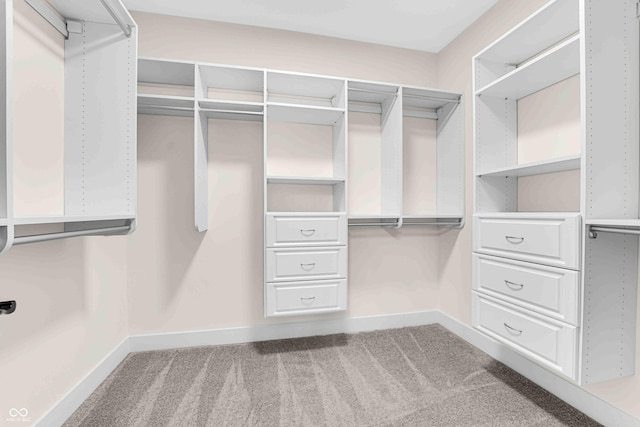 spacious closet with light colored carpet