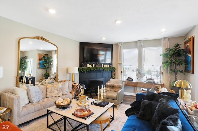 living room featuring light hardwood / wood-style floors