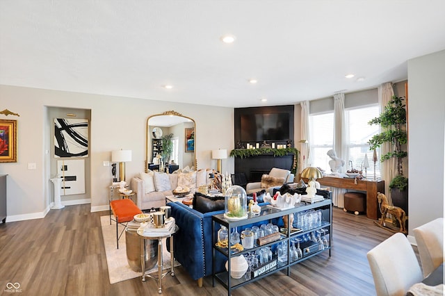 living room featuring hardwood / wood-style flooring