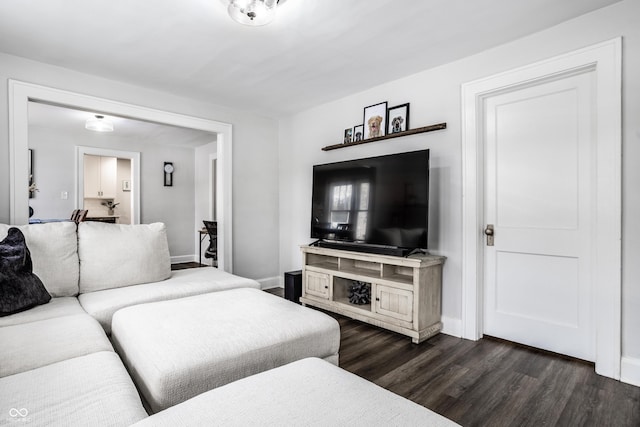 living room featuring dark wood-type flooring