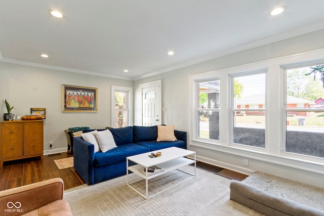 living room with dark hardwood / wood-style floors and crown molding