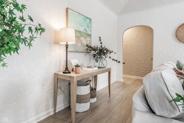 office area featuring hardwood / wood-style floors