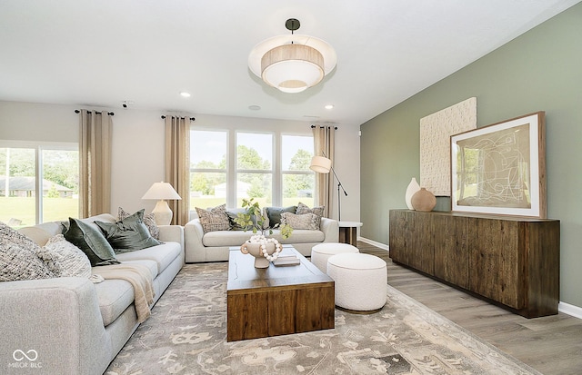 living room featuring a healthy amount of sunlight and light hardwood / wood-style flooring