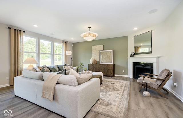 living room featuring hardwood / wood-style flooring