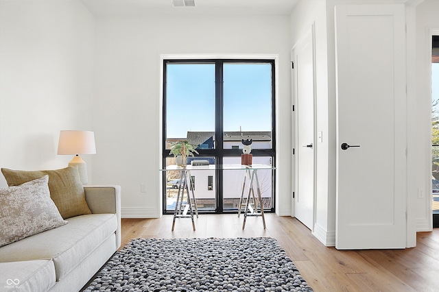 living room featuring light hardwood / wood-style floors