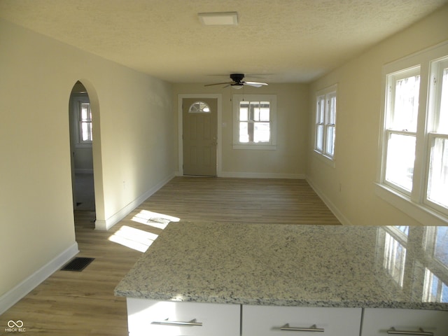 entrance foyer with plenty of natural light, light hardwood / wood-style floors, and a textured ceiling