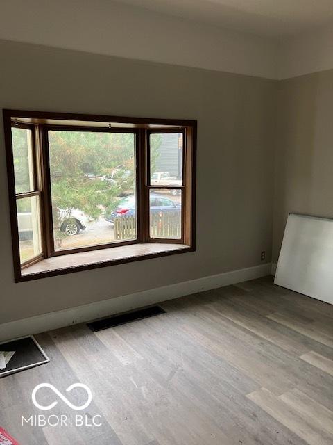 unfurnished room with light wood-type flooring and a healthy amount of sunlight