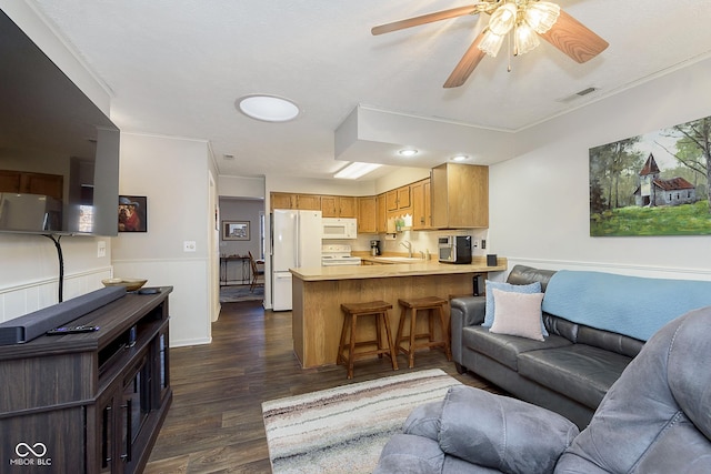 living room with ceiling fan, dark hardwood / wood-style floors, and sink