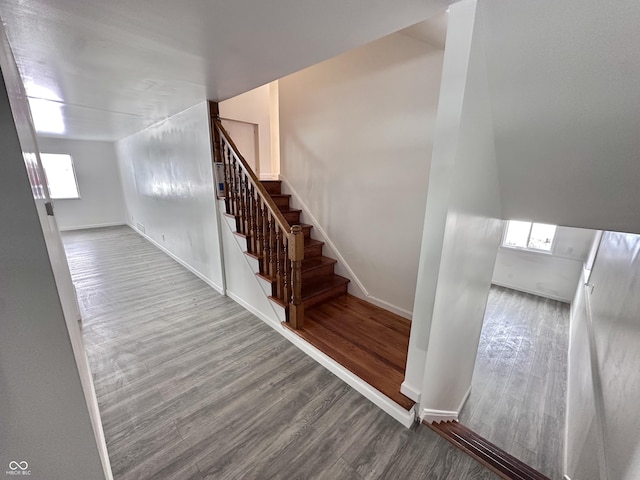 staircase featuring wood-type flooring